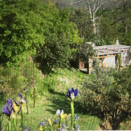 Cortijo La Vinuela Vila Atalbeitar Exterior foto