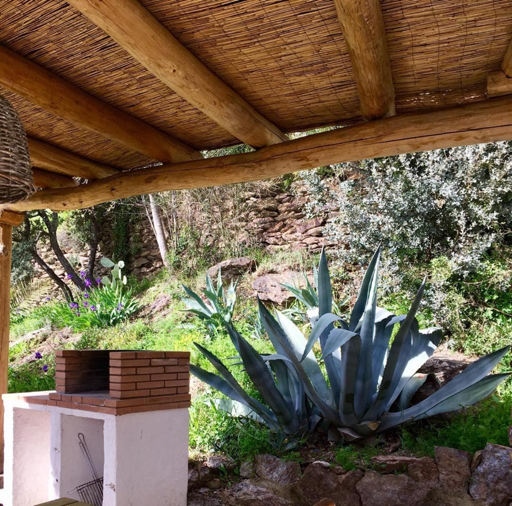 Cortijo La Vinuela Vila Atalbeitar Exterior foto