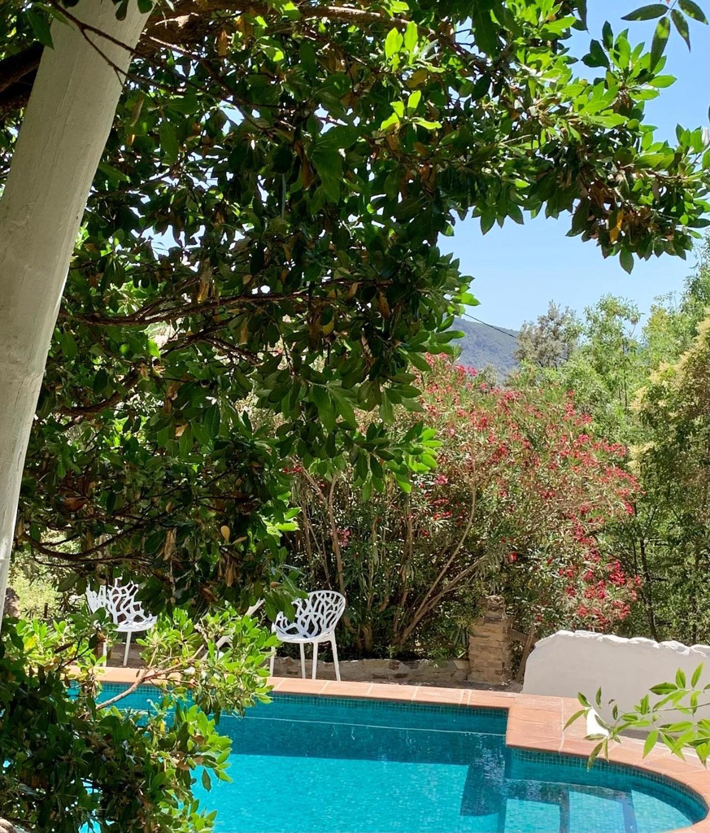 Cortijo La Vinuela Vila Atalbeitar Exterior foto