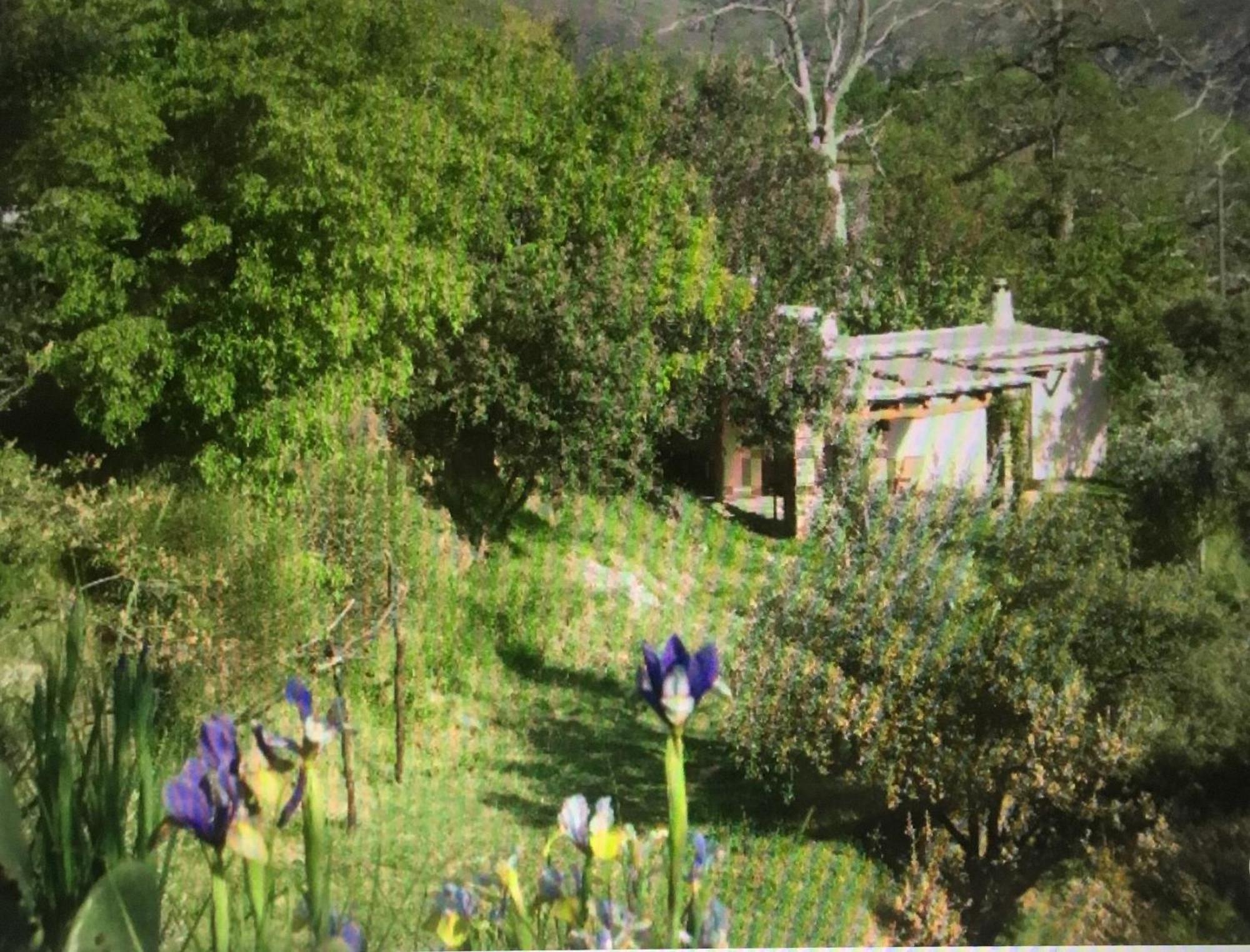 Cortijo La Vinuela Vila Atalbeitar Exterior foto